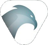 Buzzard Logo